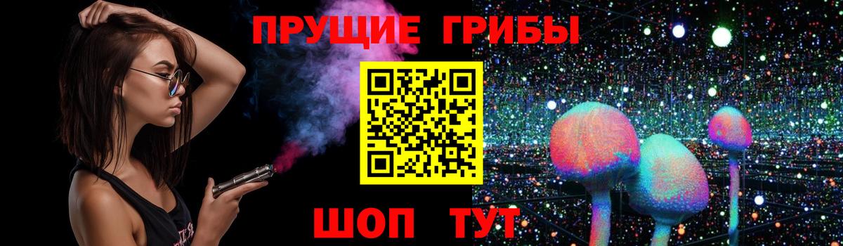 Псилоцибиновые грибы Psilocybe Тында
